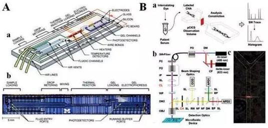 图5：分析cNAs的微流控系统