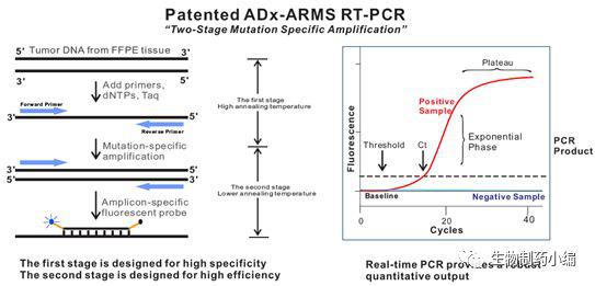 人类EGFR基因普通便检测试剂盒（多重荧光PCR法）