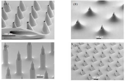 图1不同种类的微针。(A)金属锥形针(B)中心偏置的火山形针(C)城堡形状的针头(D)锯齿形的针头