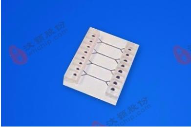 汶颢玻璃微流道常规细胞培养芯片