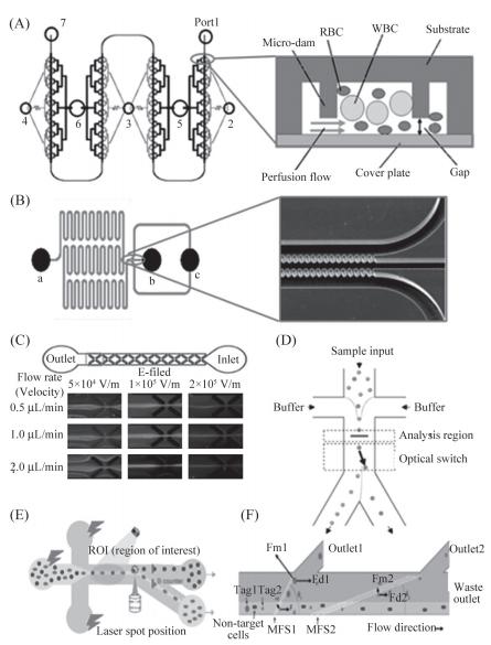 分选血细胞的PMMA微流控芯片
