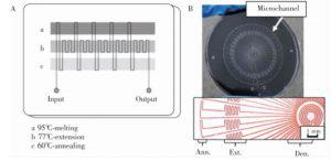 图2&nbsp; 蛇形通道型 PCR芯片:(A) 平行通道 PCR芯片，(B) 辐射通道 PCR芯片