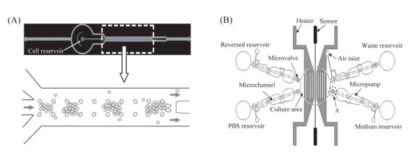 微流控芯片来培养细胞