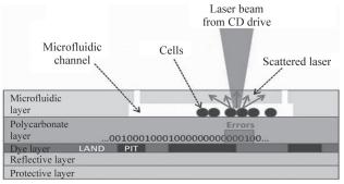 图4微流控芯片细胞计数研究