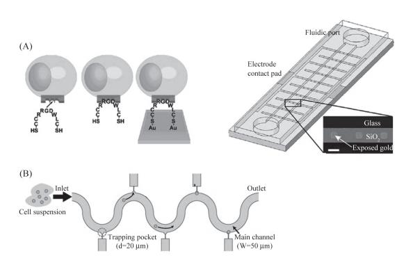图6单细胞捕获示意图