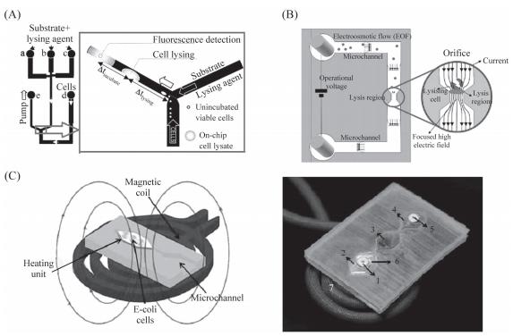 图3细胞裂解装置示意图