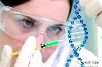 微流控技术在基因分析研究中的应用