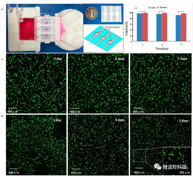 基于该平台的细胞立体培养