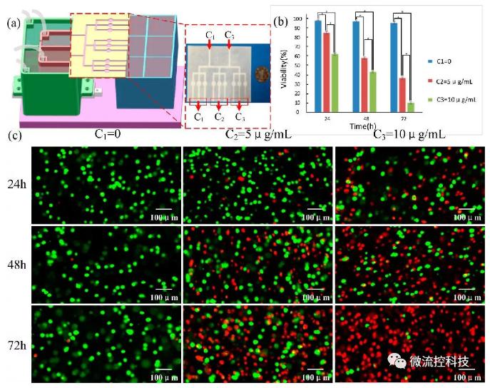 基于该平台的3D肿瘤药物筛选