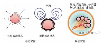 图2单个气泡的声空化行为