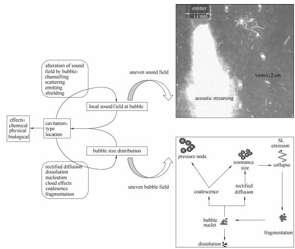 图3反应器中声空化行为——复杂声场和气泡场的动态耦合