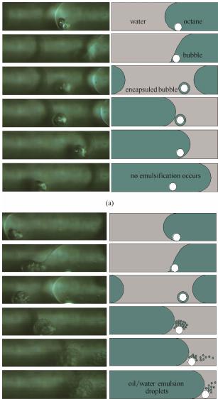 图8超声微反应器内的空化致乳效应