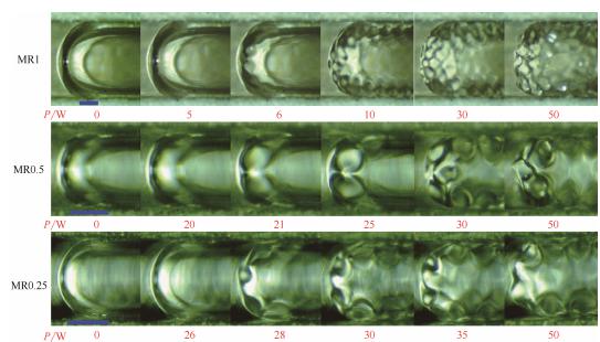图9超声作用下微通道内弹状气泡运动行为（标尺250μm）