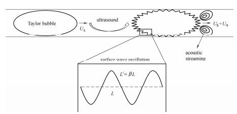 图11超声微反应器中气液传质强化的机理