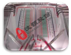 分析水平药物筛选微流控生物芯片