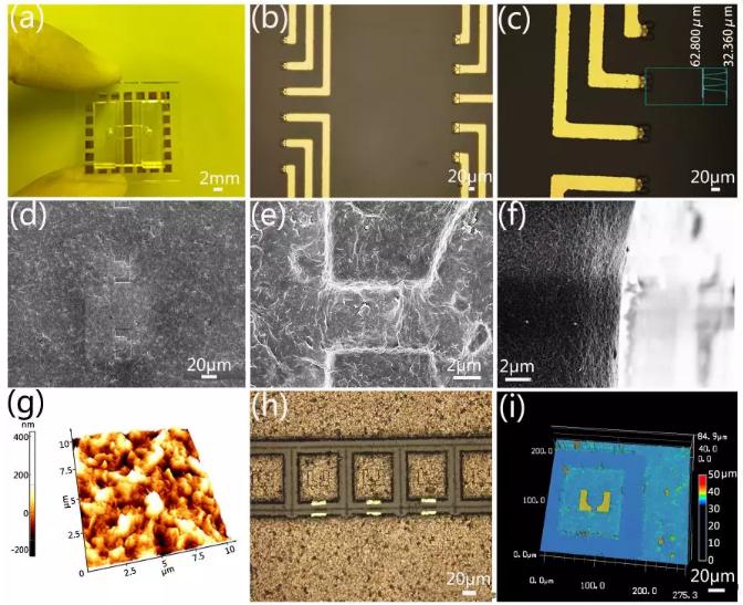 微流控芯片的实物图