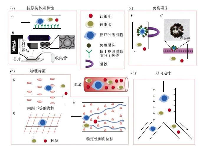 图1微流控芯片捕获CTCs各类芯片结构示意图