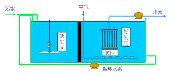 微流控生物反应器的前景