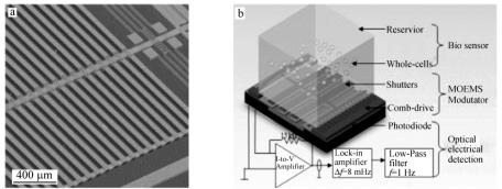 图2整合的微光电机械系统(MOEMS)(a)和细胞传感生物传感芯片实验室系统(b)