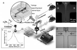 图3CARS细胞计量检测系统和芯片上流体聚焦效应