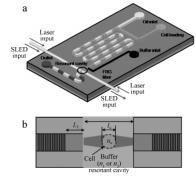 图4生物芯片和纤维布拉格光栅