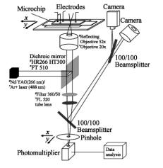 图1紫外和可见激光诱导荧光检测系统