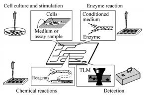 图5基于微芯片的生物分析系统