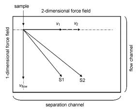 图5芯片二维分离机理示意图