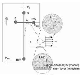 图1芯片电泳泵和电渗泵示意图