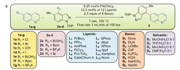 Suzuki-Miyaura偶联反应模型（图片来源：《科学》）