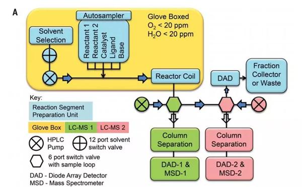 连续流平台的自动取样-反应-分析平台示意图?？悸堑酱獾幕镏士赡芏钥掌褪让舾?，作者将反应器组装在手套箱环境中（图片来源：《科学》）