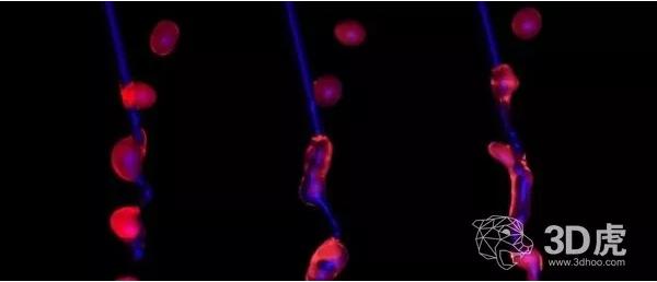科学家借“空中微流体”技术成功打印出3D打印的活细胞 科学家借“空中微流体”技术成功打印出3D打印的活细胞