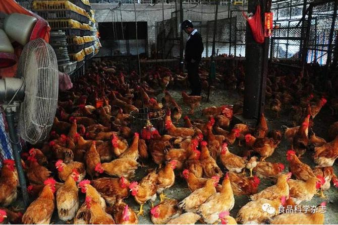 食品中抗病毒类药物残留检测方法研究进展