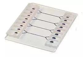 细胞培养微流控芯片