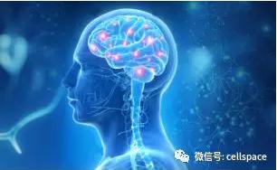 从实际应用出发，让标志物助力精准诊断