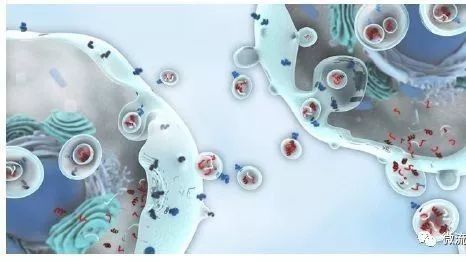 众望所归，液体活检技术将迎来全新发展时代