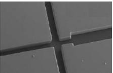 热固性聚酯（TPE）   微流控芯片