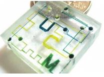 聚苯乙烯（PS）  微流控芯片