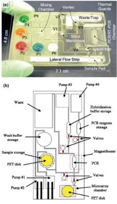 聚碳酸酯微流体盒，其中袋填充染料更好的可视化，他们被设计来存储各种试剂和缓冲区