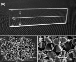 典型的纤维电泳微芯片的照片和玻璃纤维包装的微通道的横截面的SEM图像。
