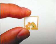 纸 基微流控芯片