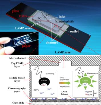 纸/聚合物混合 微流控芯片