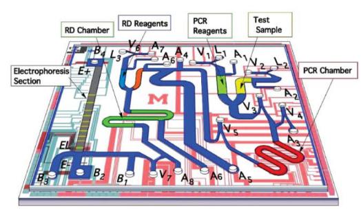 来自Pal等具有集成电泳分析的微流控PCR芯片，
