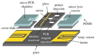 PCR芯片中的薄膜加热器