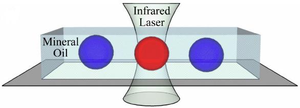 激光加热PCR液滴膜