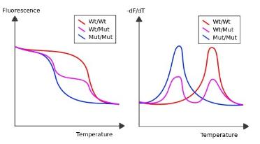 嵌入剂qPCR的解析曲线分析