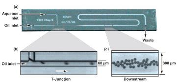 初期数字微流体装置