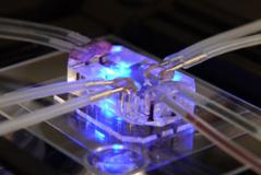 细胞生物学微细加工技术