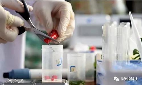 食品安全检测市场发展趋势分析 快速检测市场前景乐观