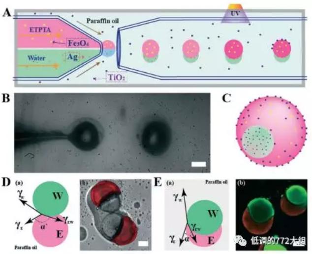 图1. 一步法制备Janus多功能颗粒的示意图 图1. 一步法制备Janus多功能颗粒的示意图